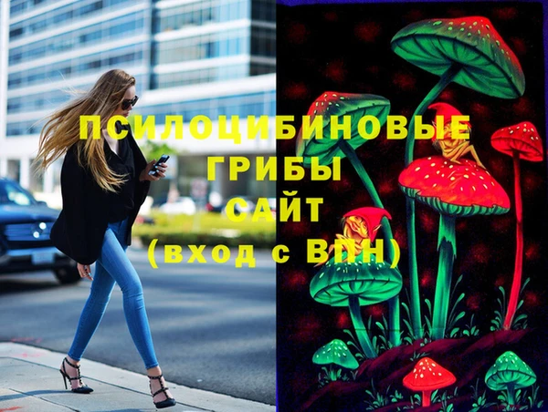 винт Армянск